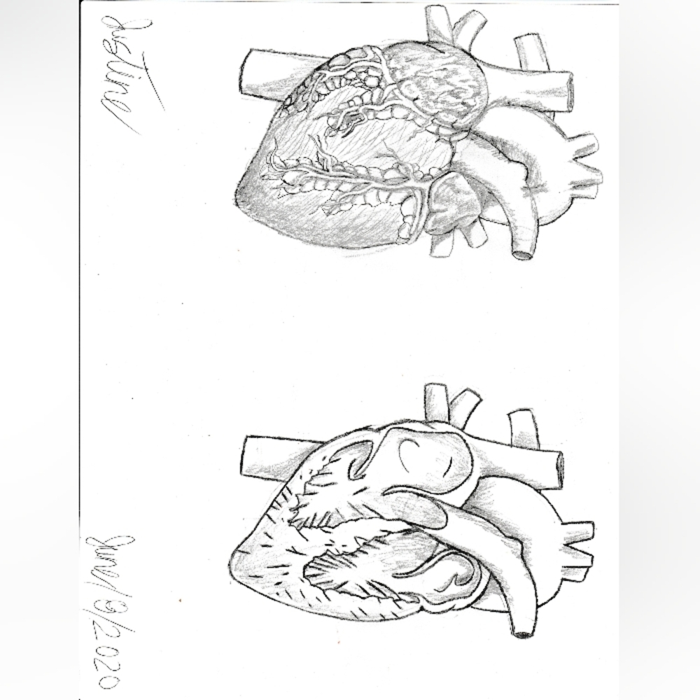 Digital Custom Pencil Art. - Picture 8 of 10